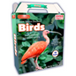 Online Discovery Birds - Hardcover