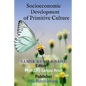 Socioeconomic Development of Primitive Culture - Paperback
