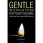Gentle Interventions for Team Coaching: Little things that make a BIG difference - Paperback