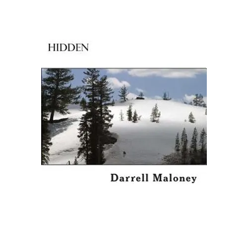 Hidden - Paperback