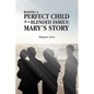 Raising a Perfect Child in a Blended Family: Mary's Story - Paperback
