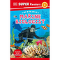 DK Super Readers Level 1 a Day in the Life of a Marine Biologist - Paperback