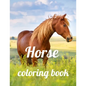 Horse coloring book: A Coloring Book of 35 Unique horse Coe Stress relief Book Designs Paperback - Paperback