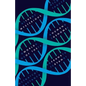 The Mysterious World of the Human Genome - Hardcover
