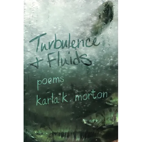 Turbulence & Fluids: poems - Paperback