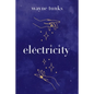 Electricity - Paperback