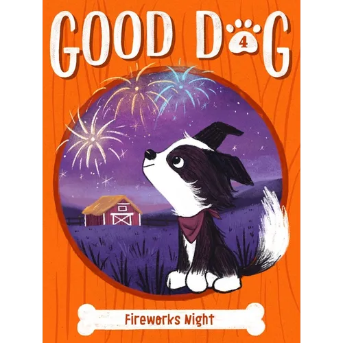Fireworks Night - Hardcover