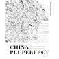 China Pluperfect: Volume 2--Practices of Past and Outside in Chinese Art - Hardcover