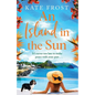 An Island in the Sun - Paperback