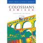 Colossians Remixed: Subverting the Empire - Paperback