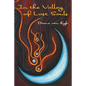 In the Valley of Lost Souls - Paperback