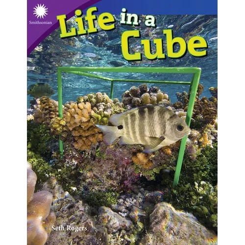 Life in a Cube - Paperback