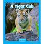 A Tiger Cub - Paperback