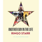Another Day in the Life - Hardcover