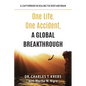 One Life, One Accident, A Global Breakthrough: A Leap Forward in Healing the Body and Brain - Paperback
