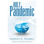 Holy Pandemic: Seeking God's Will Amid Sickness, Death and, Dissension - Paperback