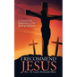 I Recommend Jesus: A Devotional Exposition of the Book of Hebrews - Paperback