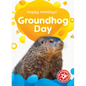 Groundhog Day - Paperback
