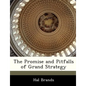 The Promise and Pitfalls of Grand Strategy - Paperback