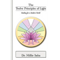 The Twelve Principles of Light - Paperback