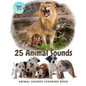 25 ANIMAL SOUNDS Learning Book: Noisy Baby Animal Book For Kids (My First Animal), Toddlers Touch and Feel Ages 3-5 - Paperback