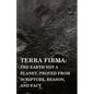 Terra Firma: the Earth Not a Planet, Proved from Scripture, Reason, and Fact - Paperback