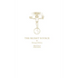 The Secret Source: The Law of Attraction and Its Hermetic Influence Throughout the Ages - Hardcover