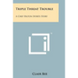 Triple Threat Trouble: A Chip Hilton Sports Story - Paperback