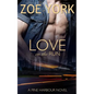 Love on the Run - Paperback