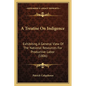 A Treatise On Indigence: Exhibiting A General View Of The National Resources For Productive Labor (1806) - Paperback