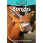 Bongos - Paperback