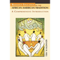 Religious Education in the African American Tradition: A Comprehensive Introduction - Paperback