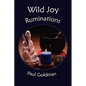 Wild Joy: Ruminations - Paperback