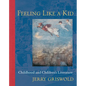 Feeling Like a Kid: Childhood and Children's Literature - Paperback