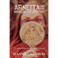 Arnetta and The Mirror of Destiny: The Future Doesn't Belong To The Faint Hearted - Paperback