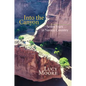 Into the Canyon: Seven Years in Navajo Country - Paperback