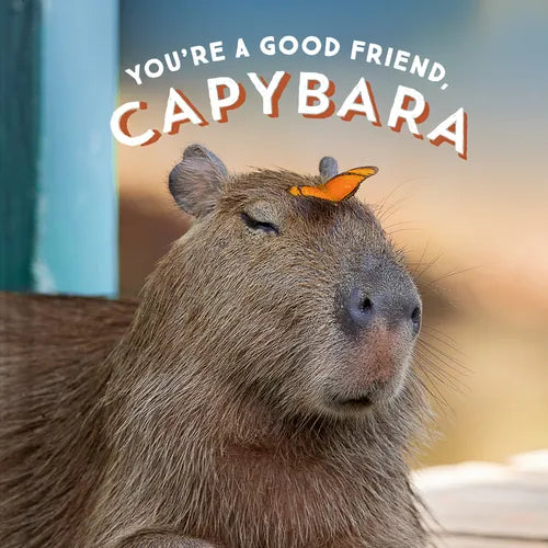 You're a Good Friend, Capybara - Hardcover