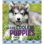 The Coolest Puppies - Library Binding