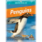Penguins - Library Binding