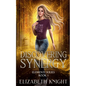 Discovering Synergy - Paperback