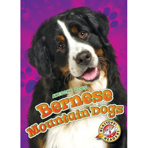 Bernese Mountain Dogs - Library Binding