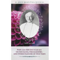 Pope Leo XIII Encyclicals on Socialism, Freemasonry, and Other Dangers of Our Times - Paperback