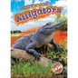 Alligators - Library Binding