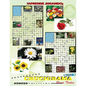 Crucigramas para Todos 3 - Paperback