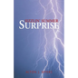Sizzlin' Summer Surprise - Paperback