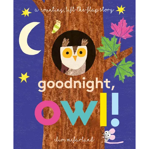 Goodnight, Owl! - Board Book