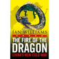 The Fire of the Dragon: China's New Cold War - Paperback