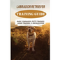 Labrador Retriever Training Guide: Basic Commands, Potty Training, Leash Training, & Socialization: Facts About Labrador Retriever - Paperback