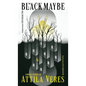The Black Maybe: Liminal Tales - Hardcover