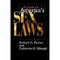 A Guide to America's Sex Laws - Paperback